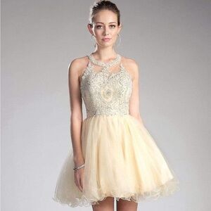 Cinderella Divine small champagne color beaded dress